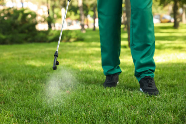 Best Termite Control Services  in St Augustine Beach, FL