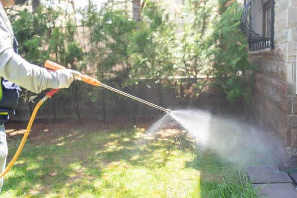 Best Flea Control Services  in St Augustine Beach, FL